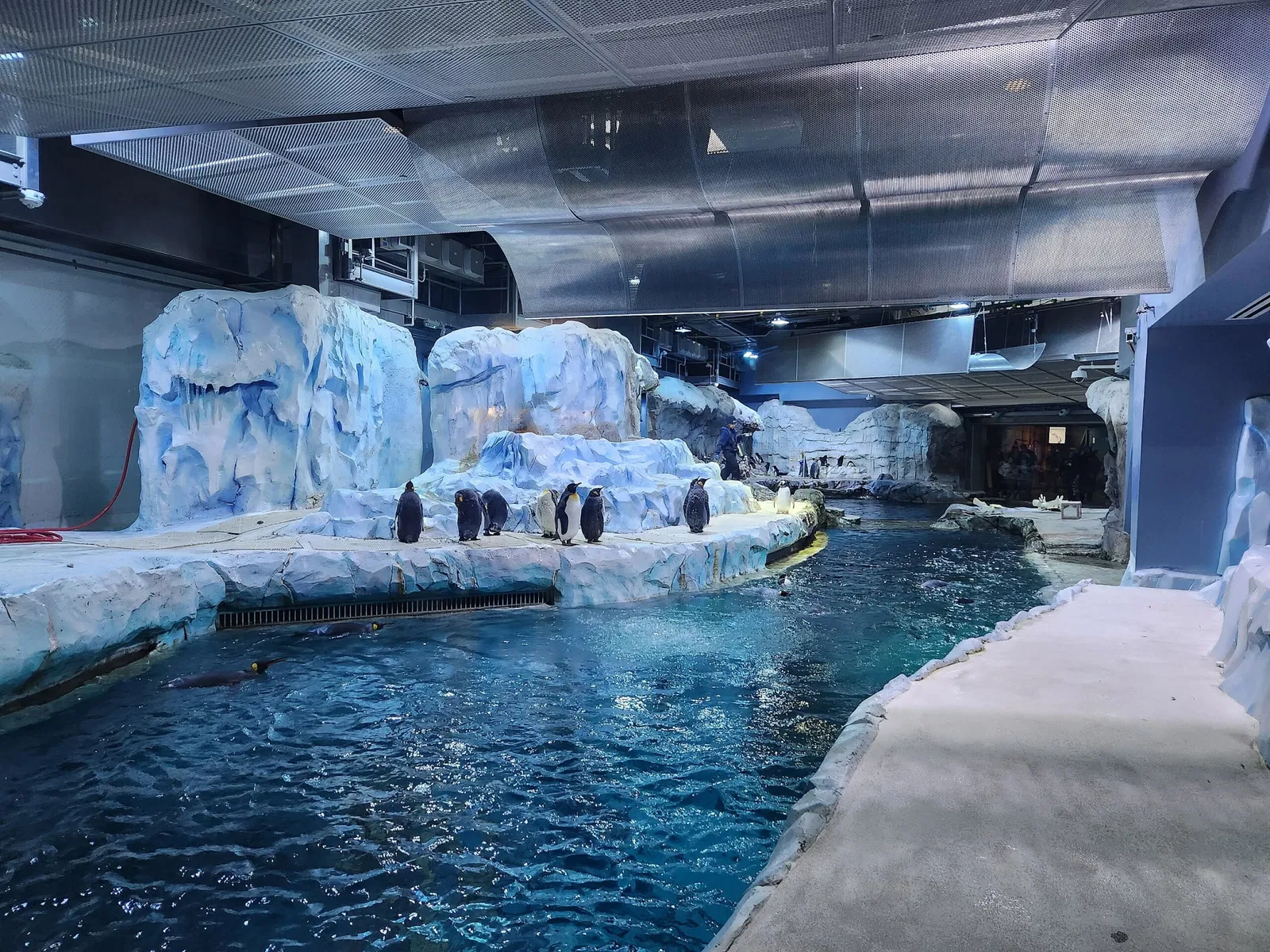 Belle Isle Nature Center