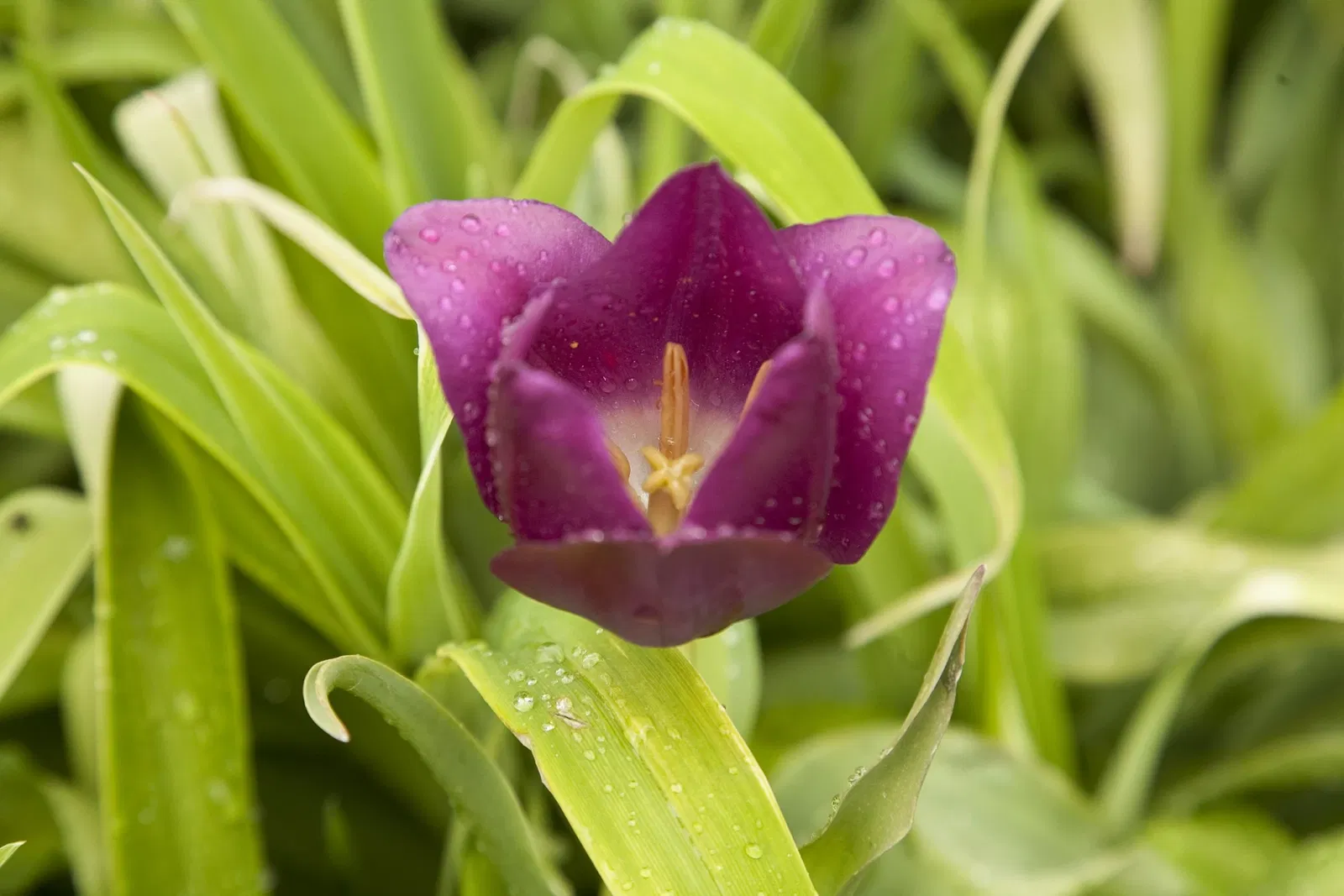 Belle Isle Nature Center