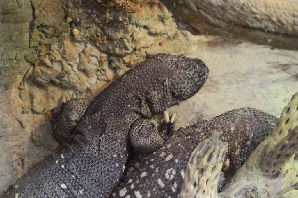 Belle Isle Nature Center