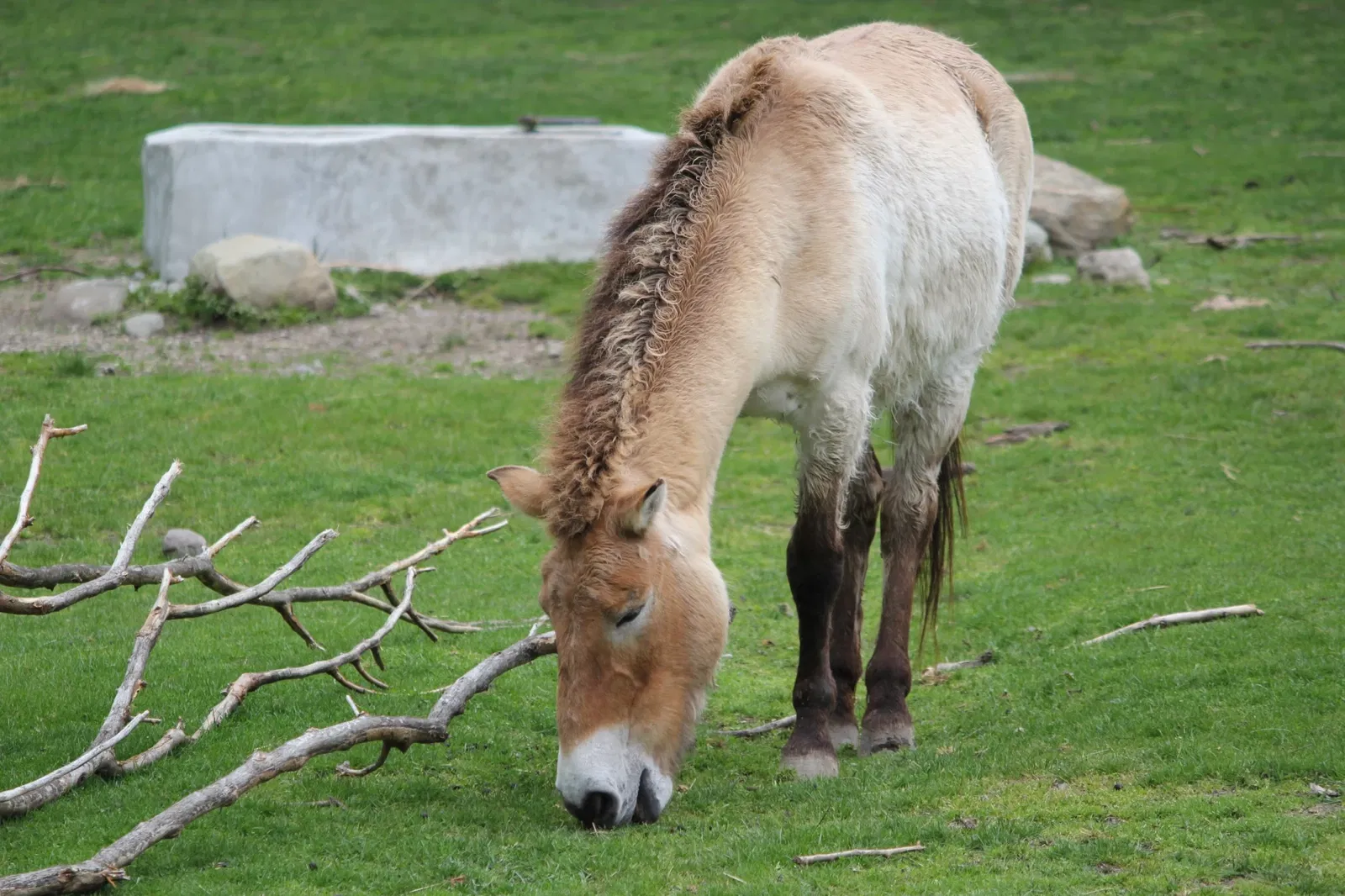 Belle Isle Nature Center