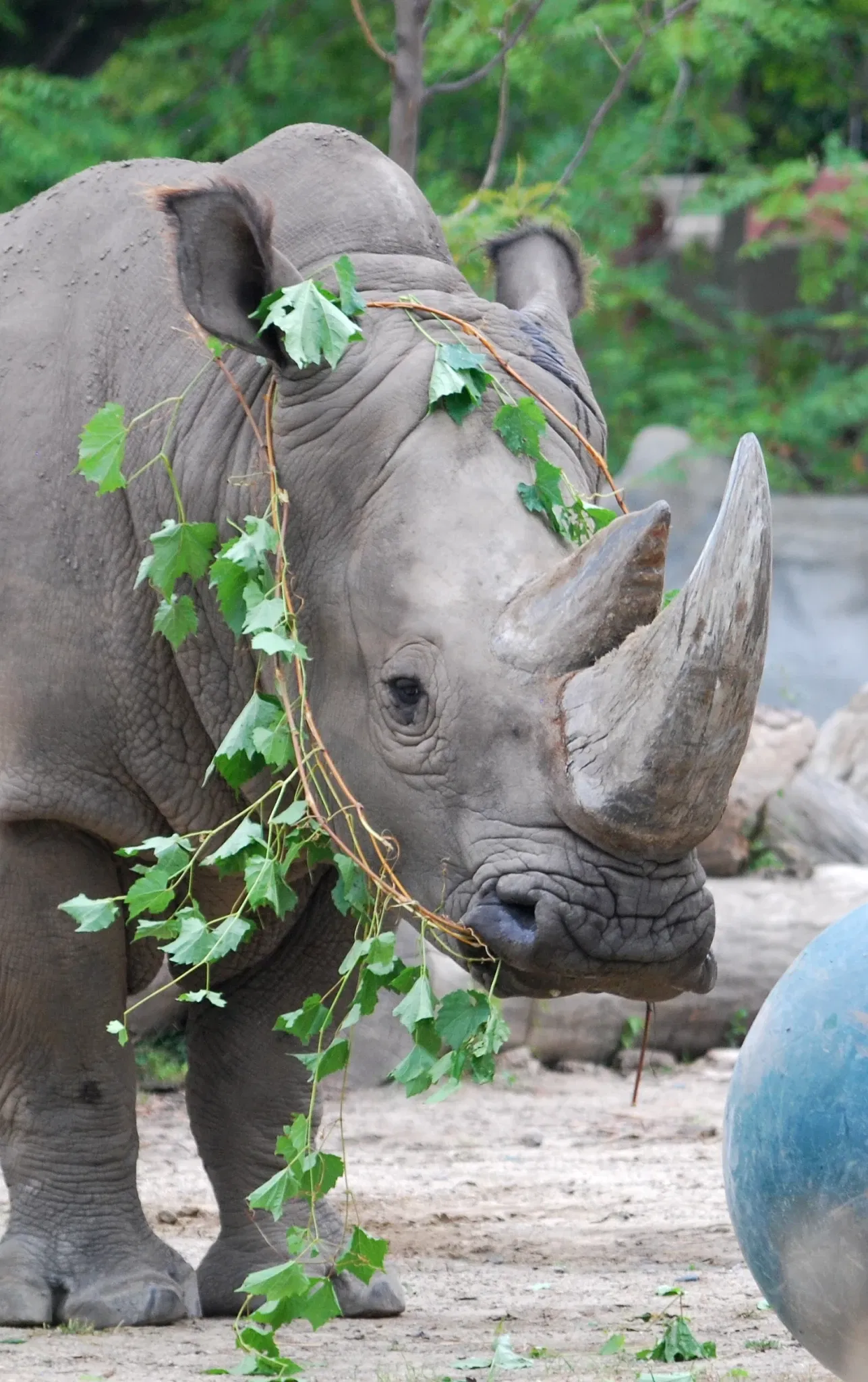 Belle Isle Nature Center