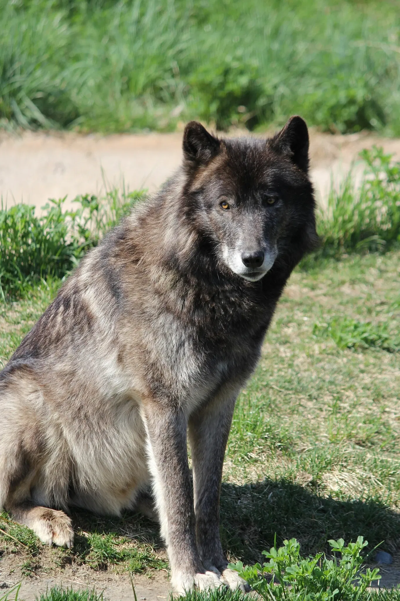 Belle Isle Nature Center