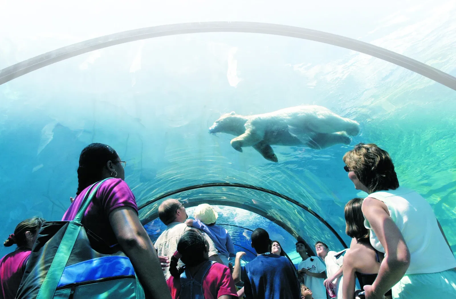 Belle Isle Nature Center