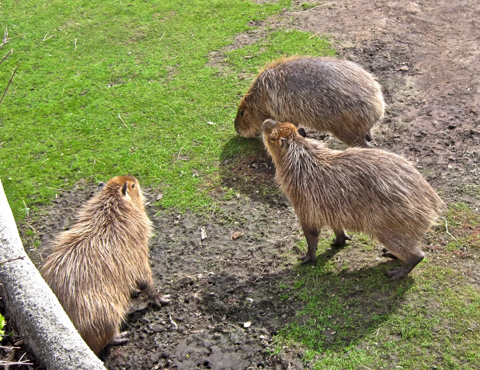 Belle Isle Nature Center