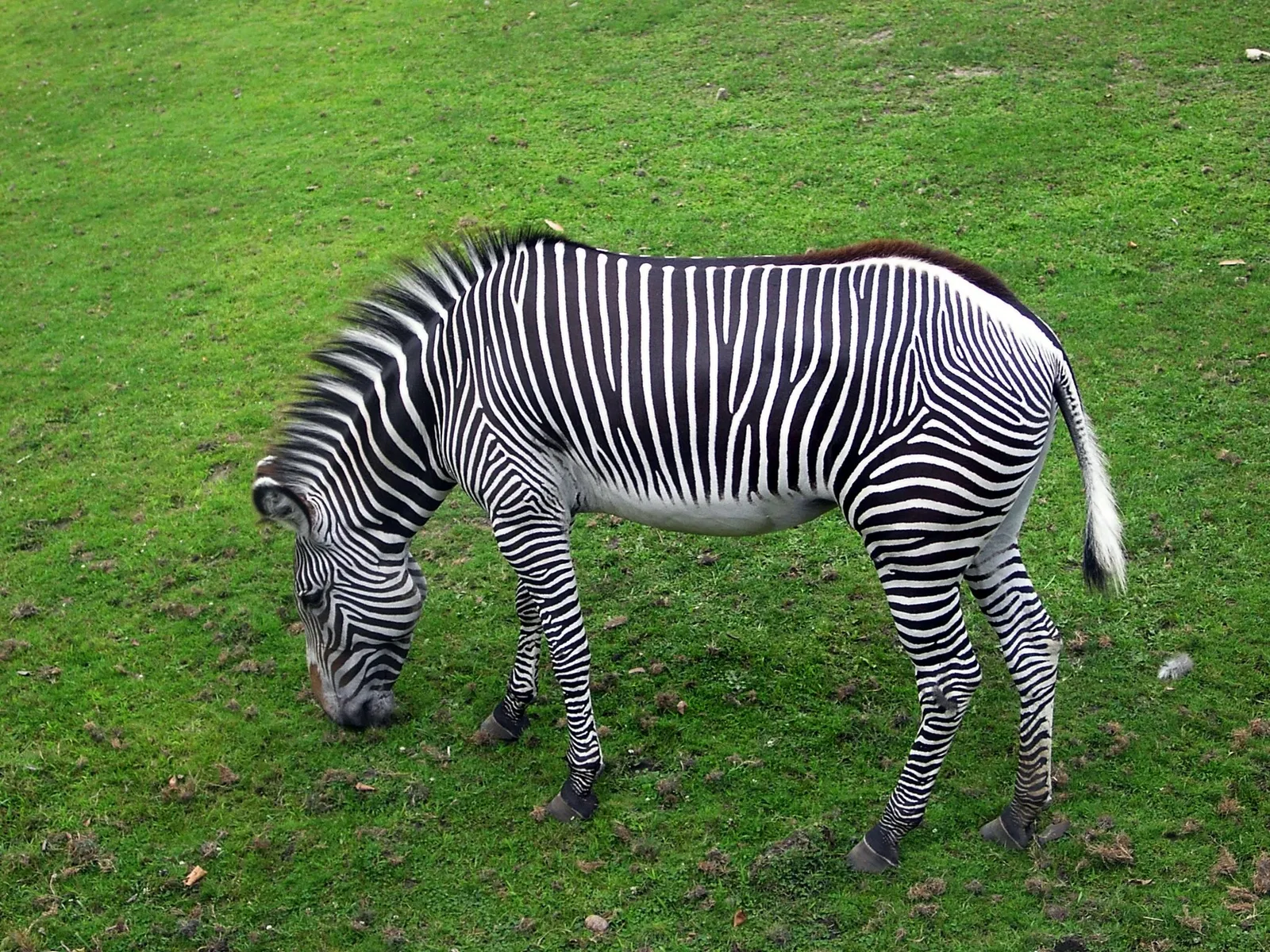 Belle Isle Nature Center
