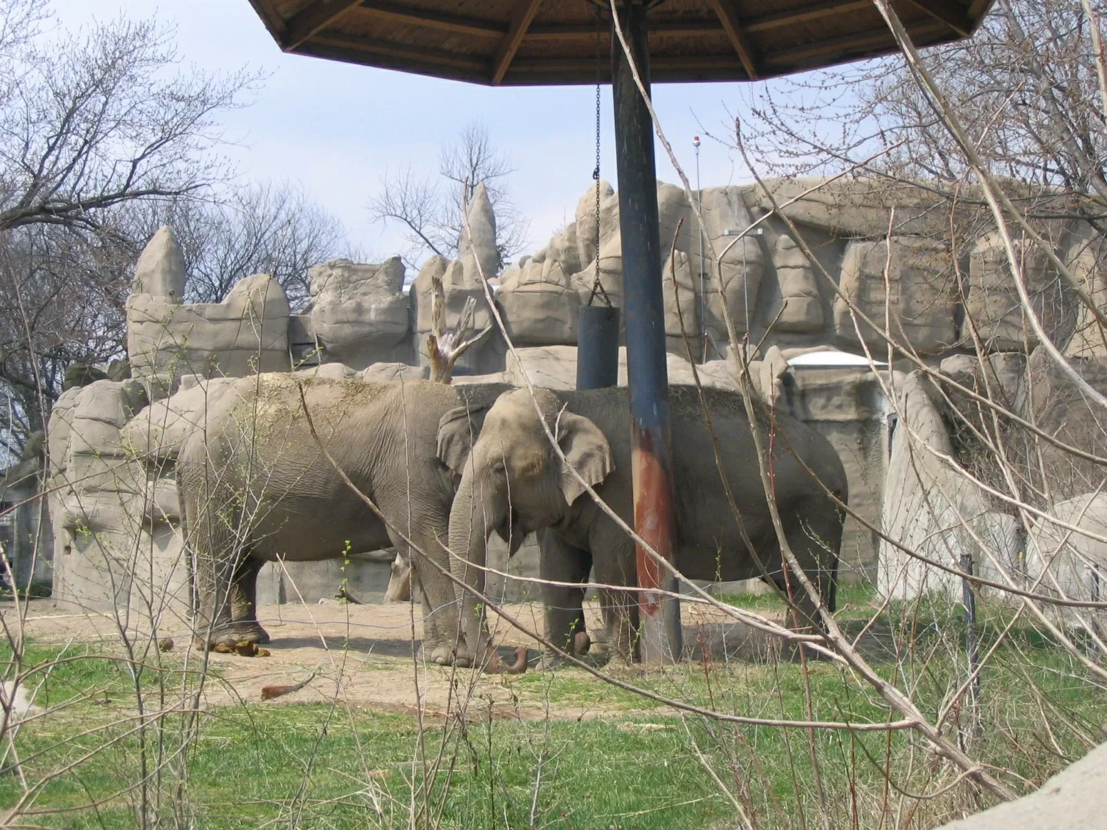 Belle Isle Nature Center