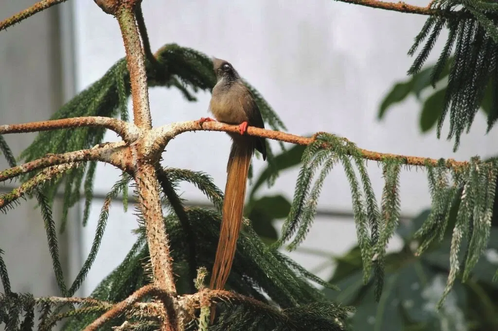 Belle Isle Nature Center