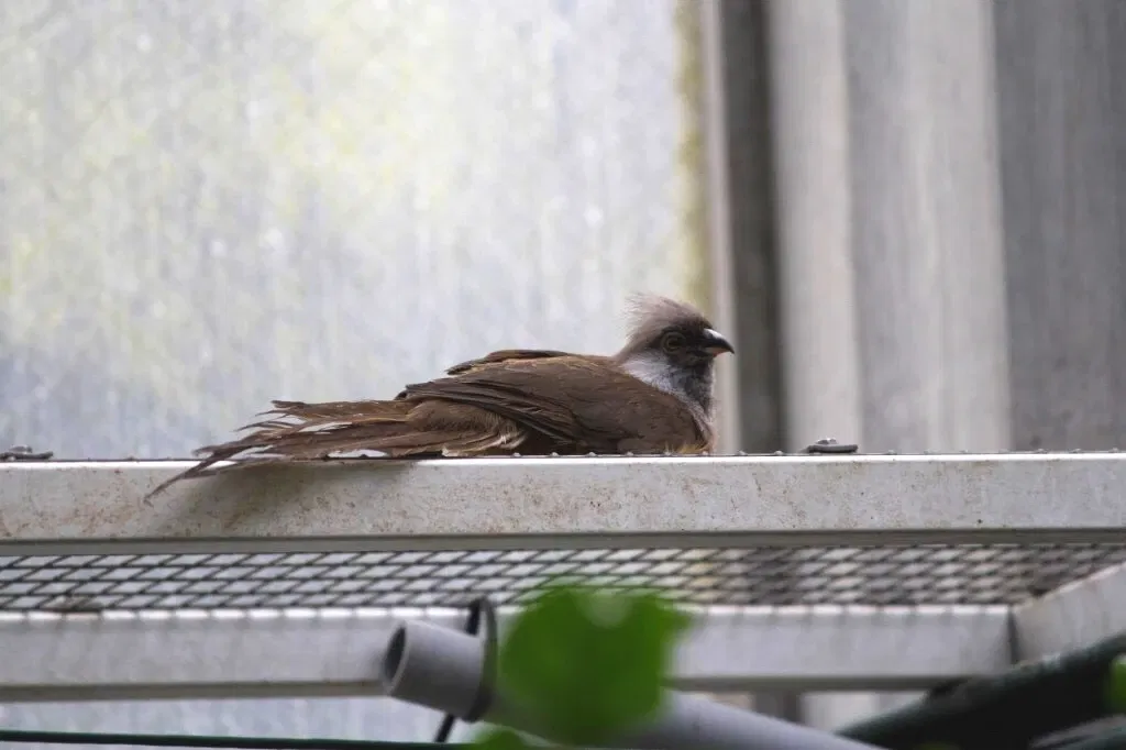 Belle Isle Nature Center