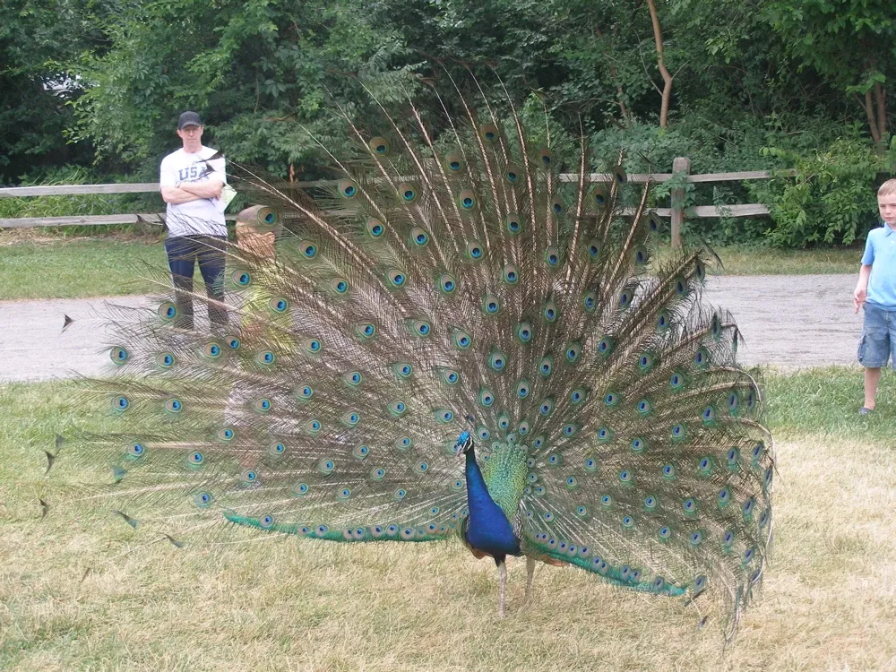 Belle Isle Nature Center