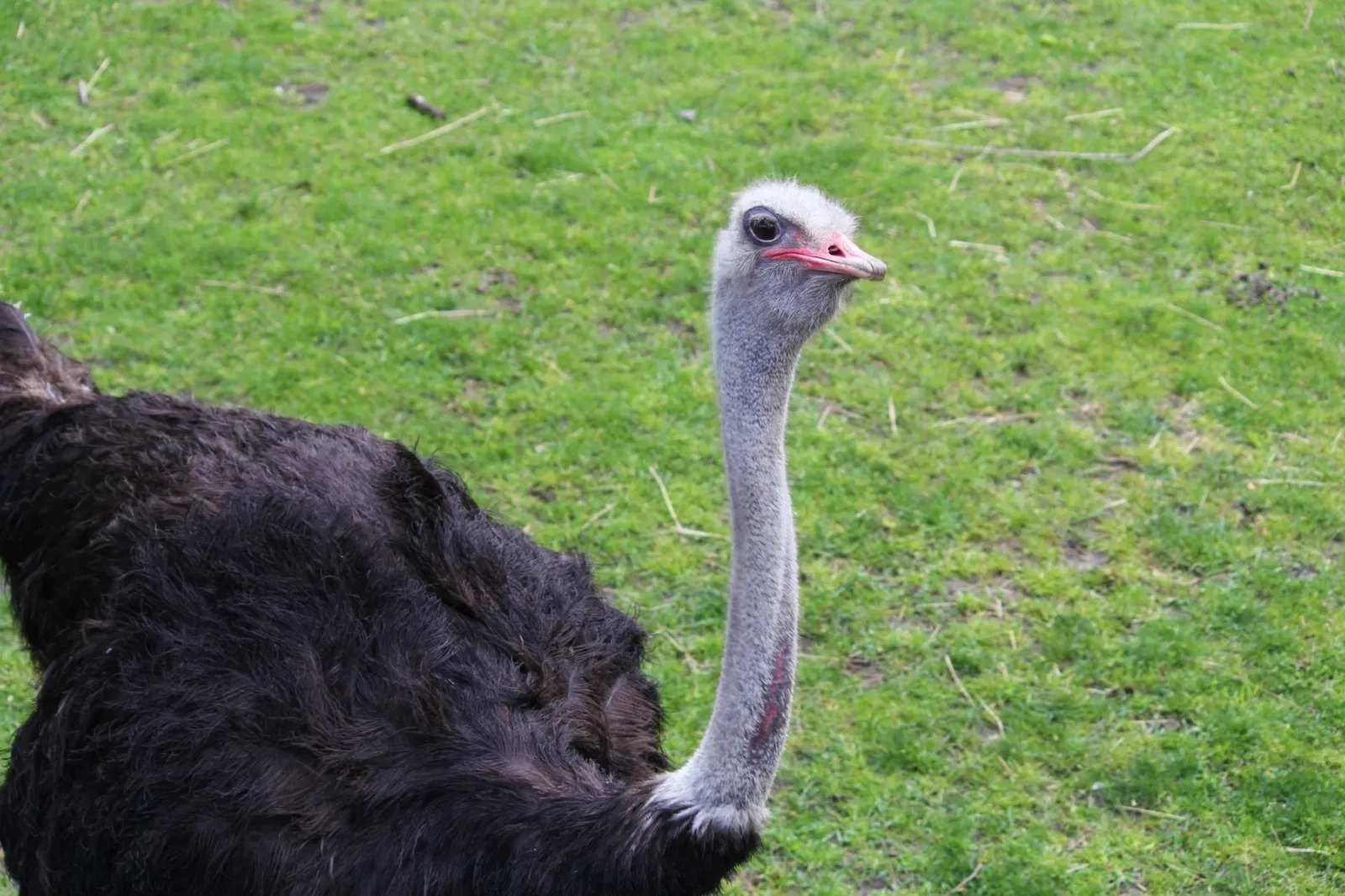 Belle Isle Nature Center