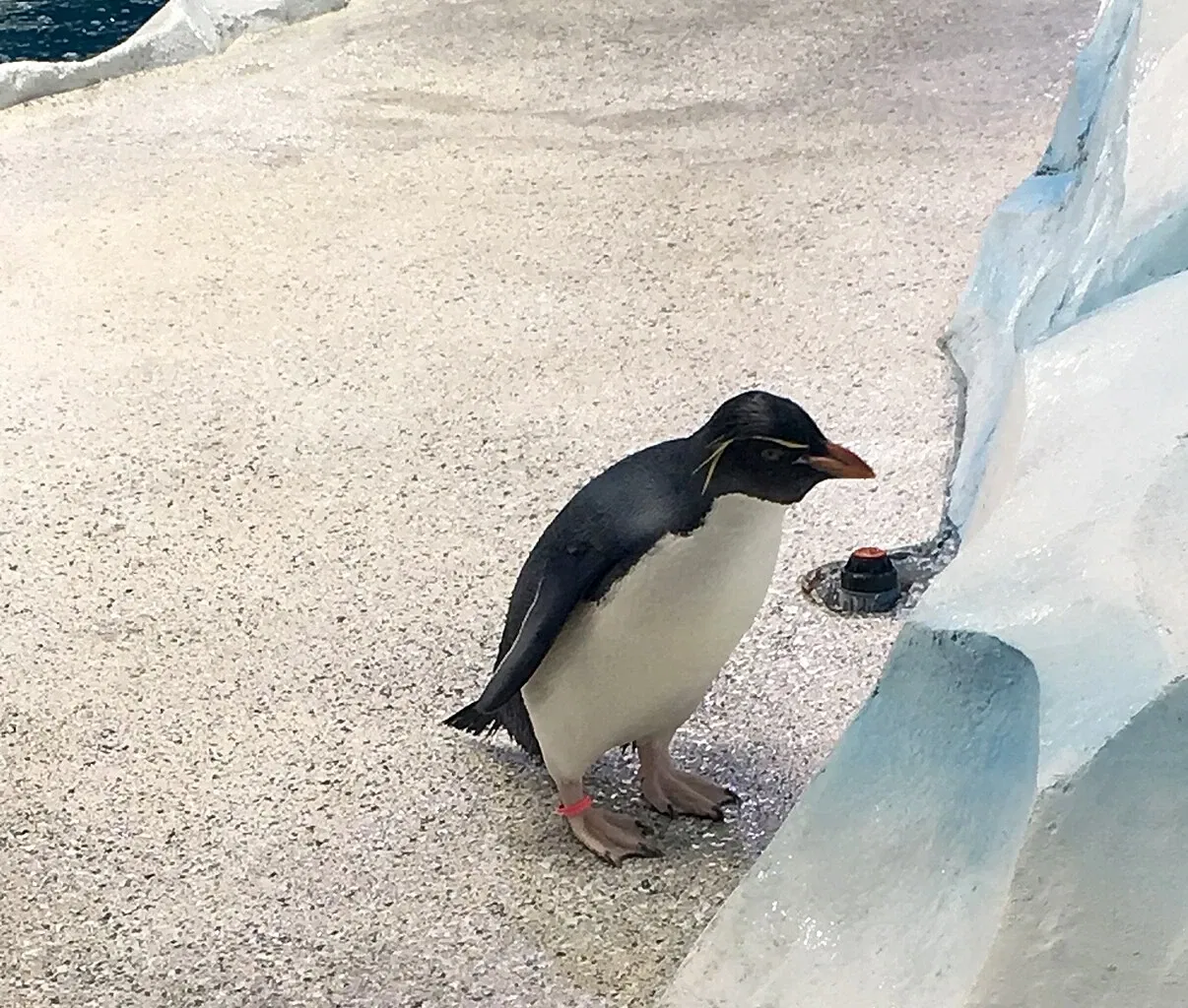 Belle Isle Nature Center