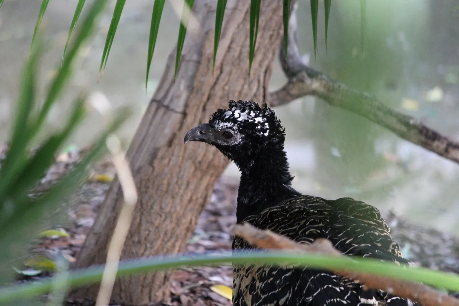 Belle Isle Nature Center