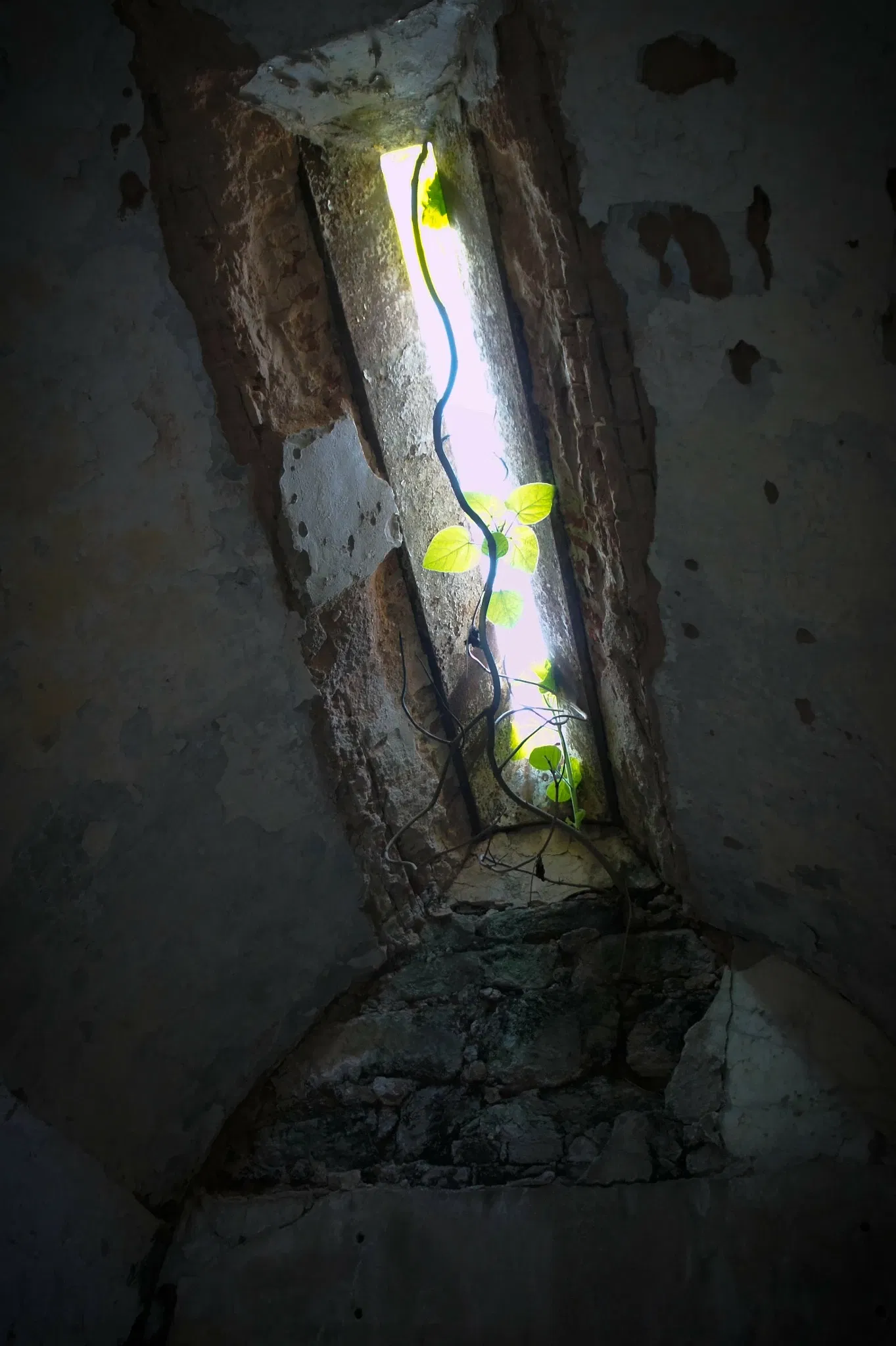 Eastern State Penitentiary