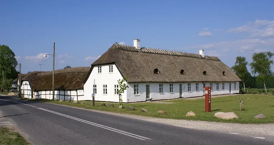 Viking Museum