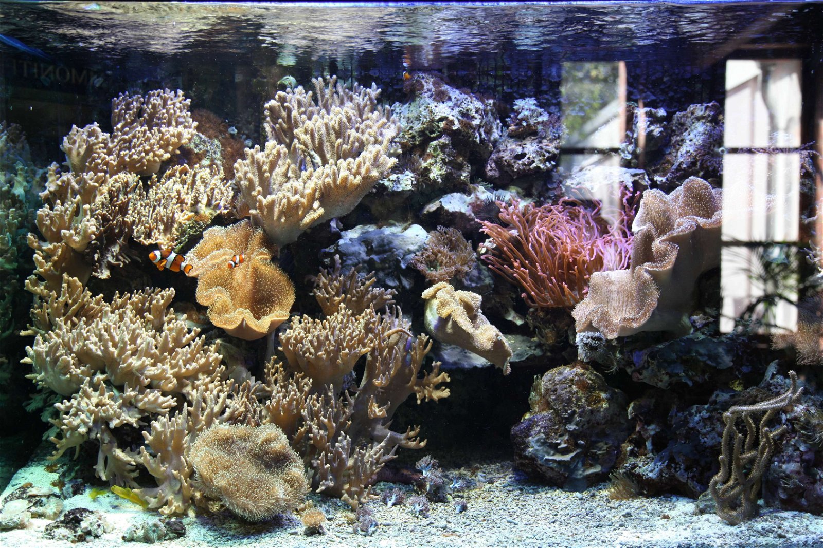 Tierpark und Fossilium Bochum