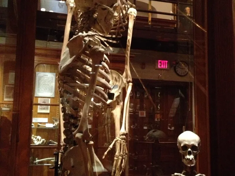 Mutter Museum Historic Medical Mütter Museum (Philadelphia) - Visitor Information & Reviews