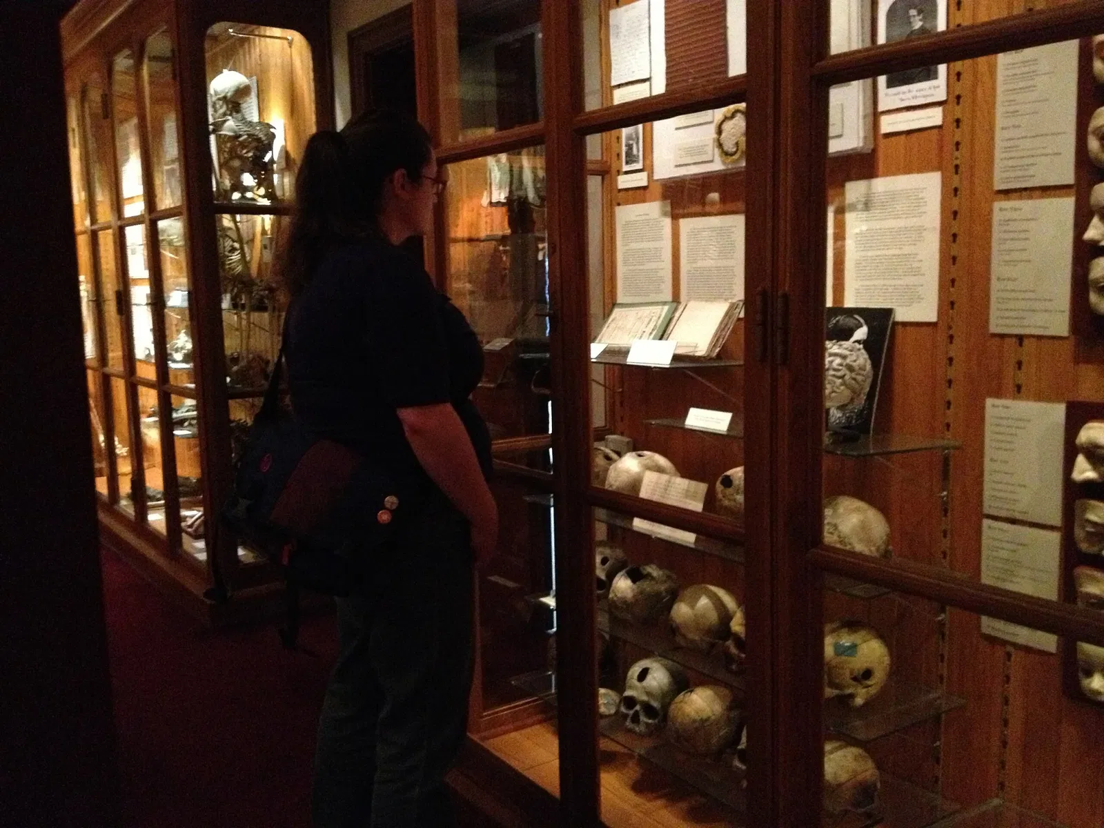 Mütter Museum