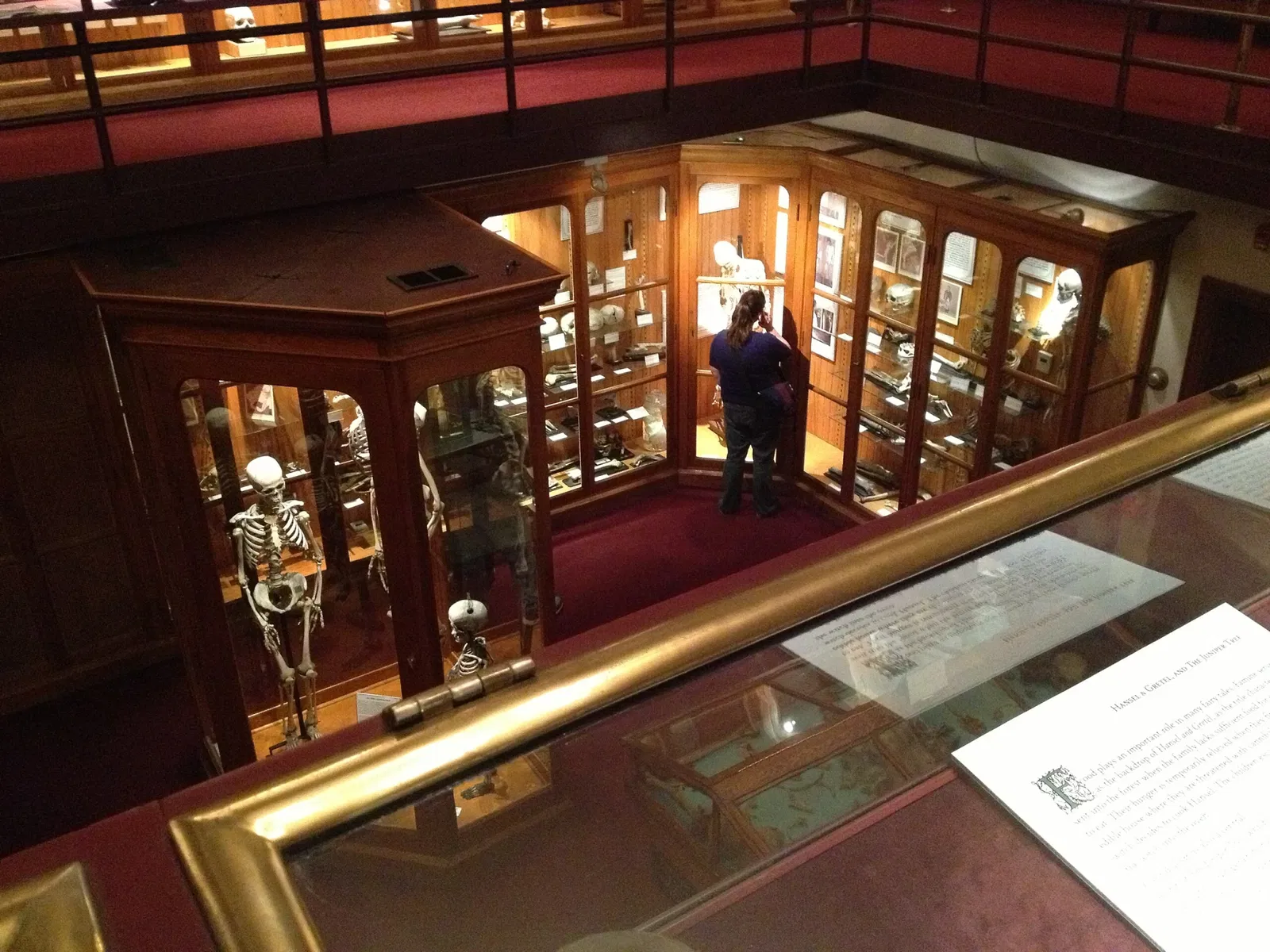 Mütter Museum