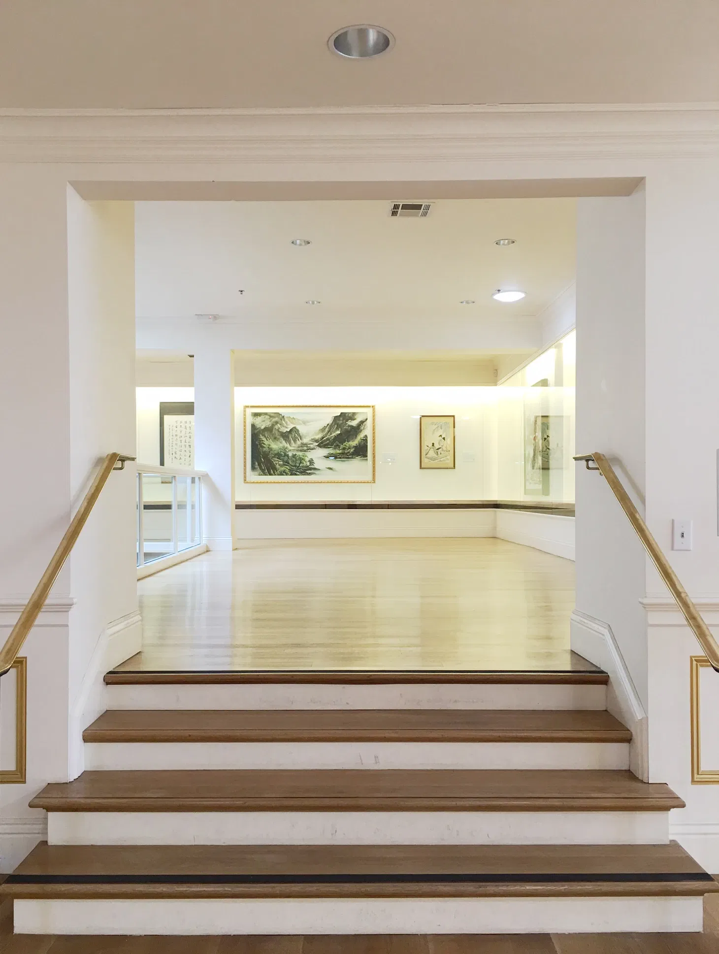 International Art Museum of America