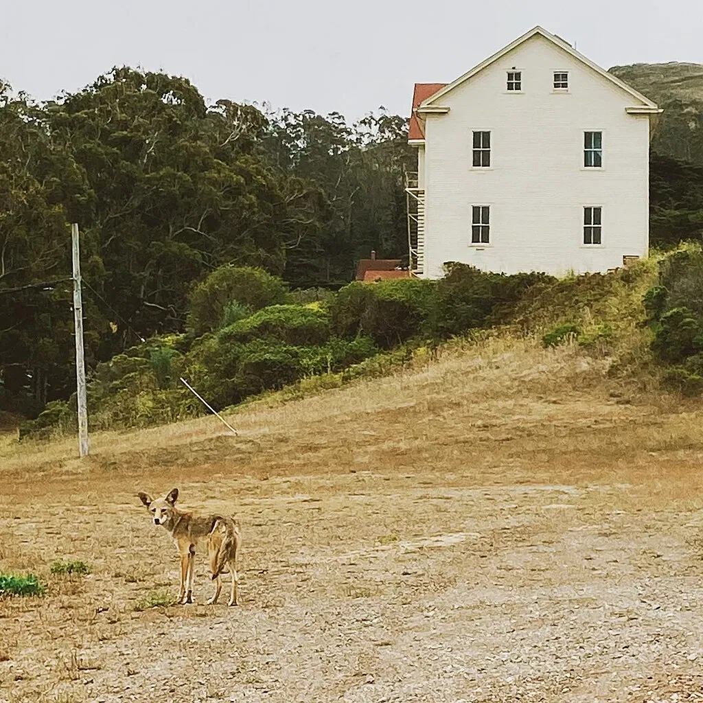 Headlands Center For the Arts