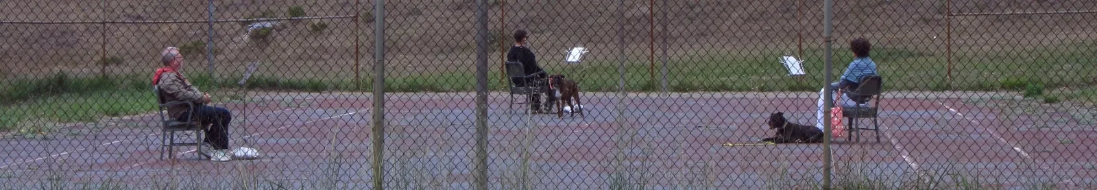 Headlands Center For the Arts