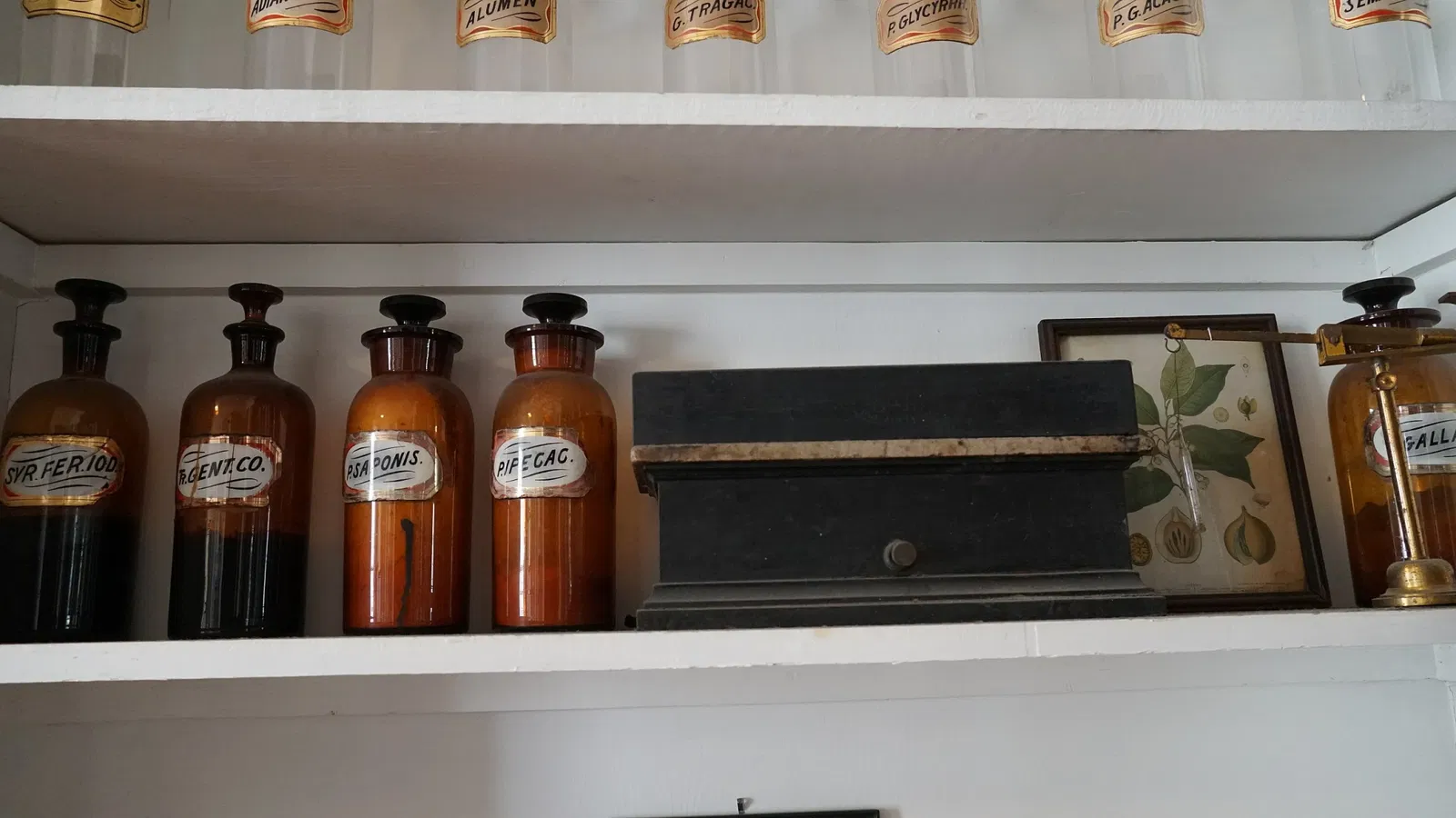 New Orleans Pharmacy Museum