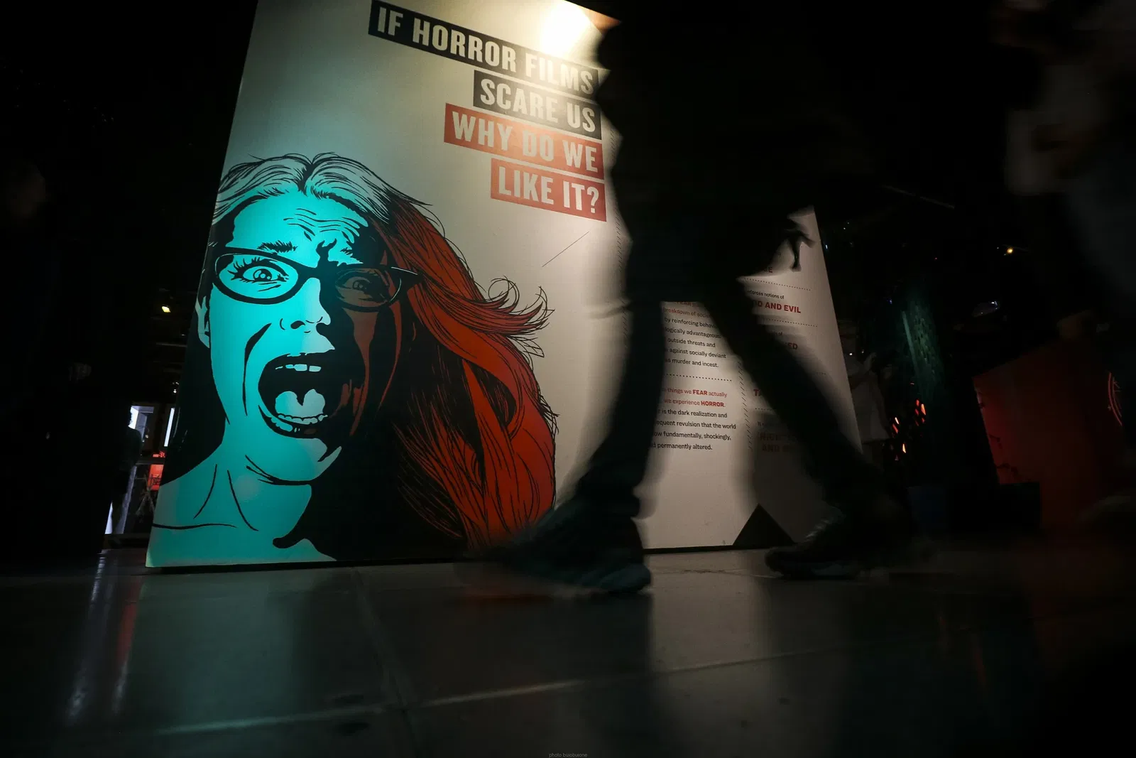 Museum of Pop Culture