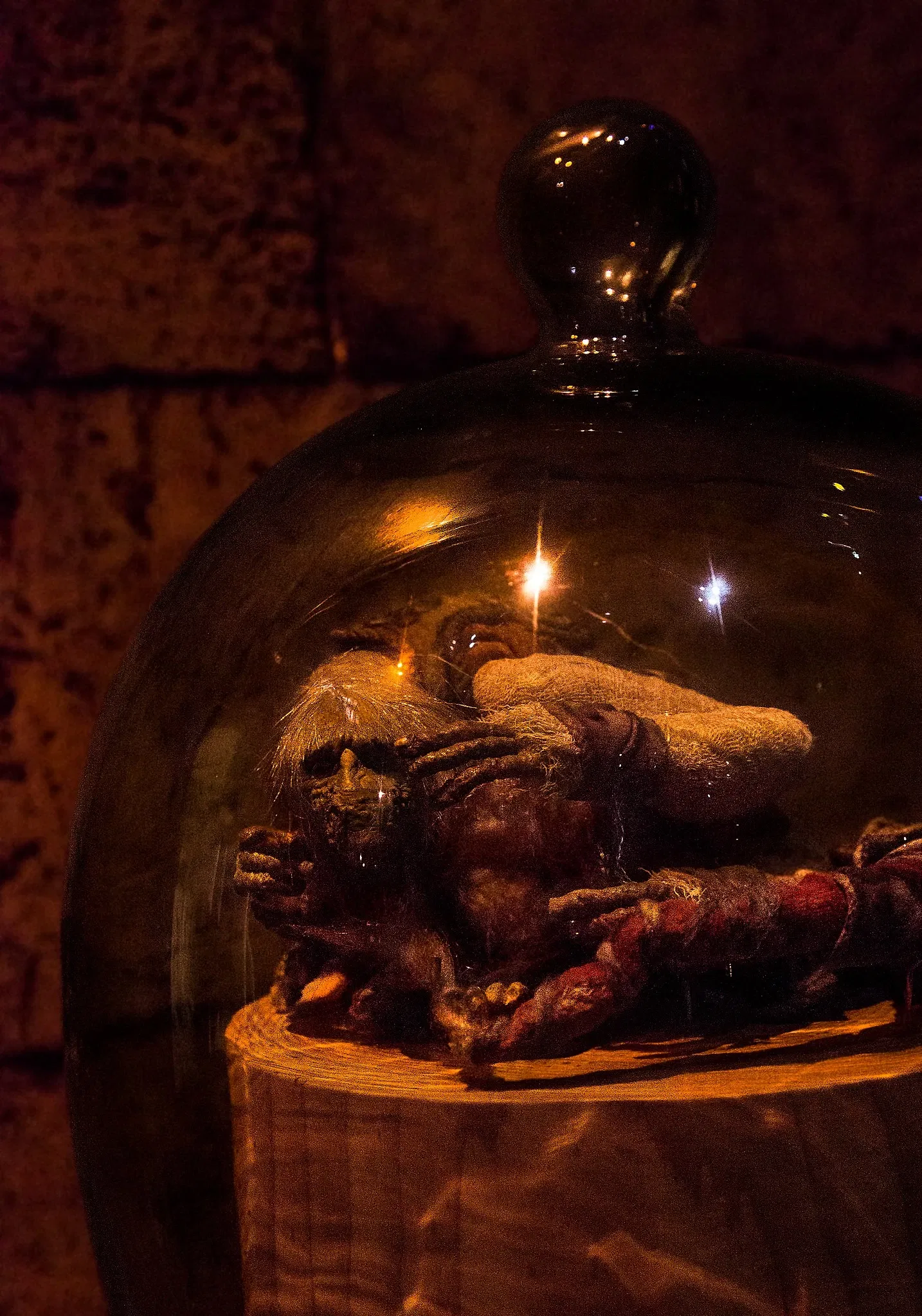 Museum of Pop Culture