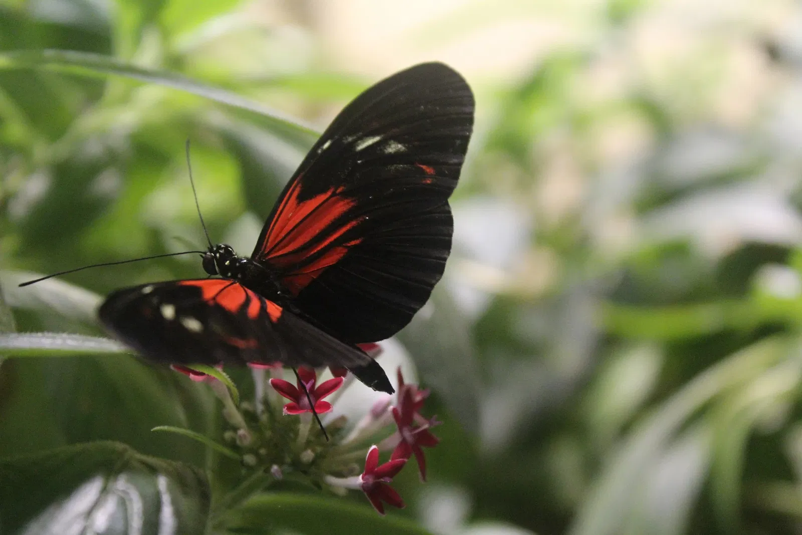 Academy of Natural Sciences