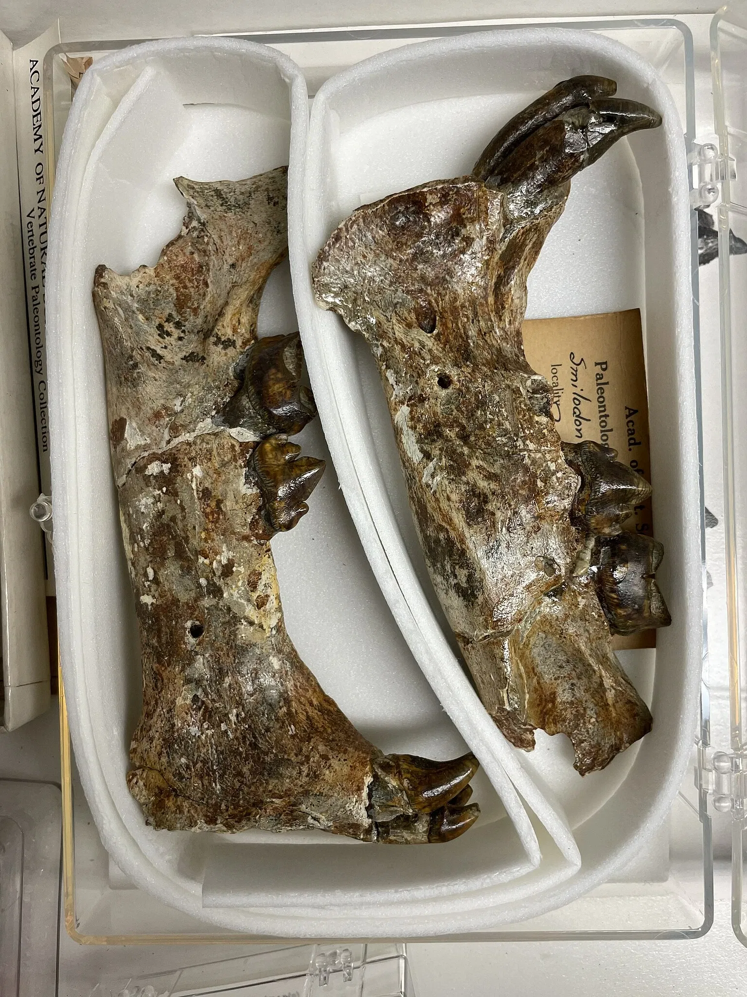 Academy of Natural Sciences of Drexel University