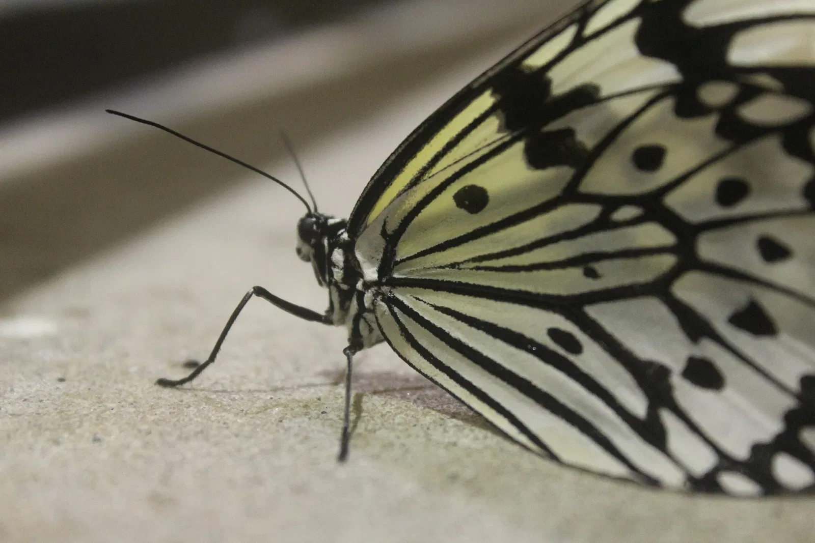 Academy of Natural Sciences