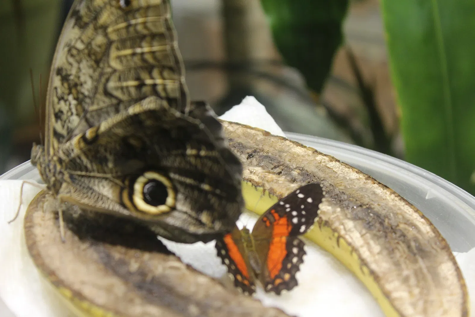 Academy of Natural Sciences