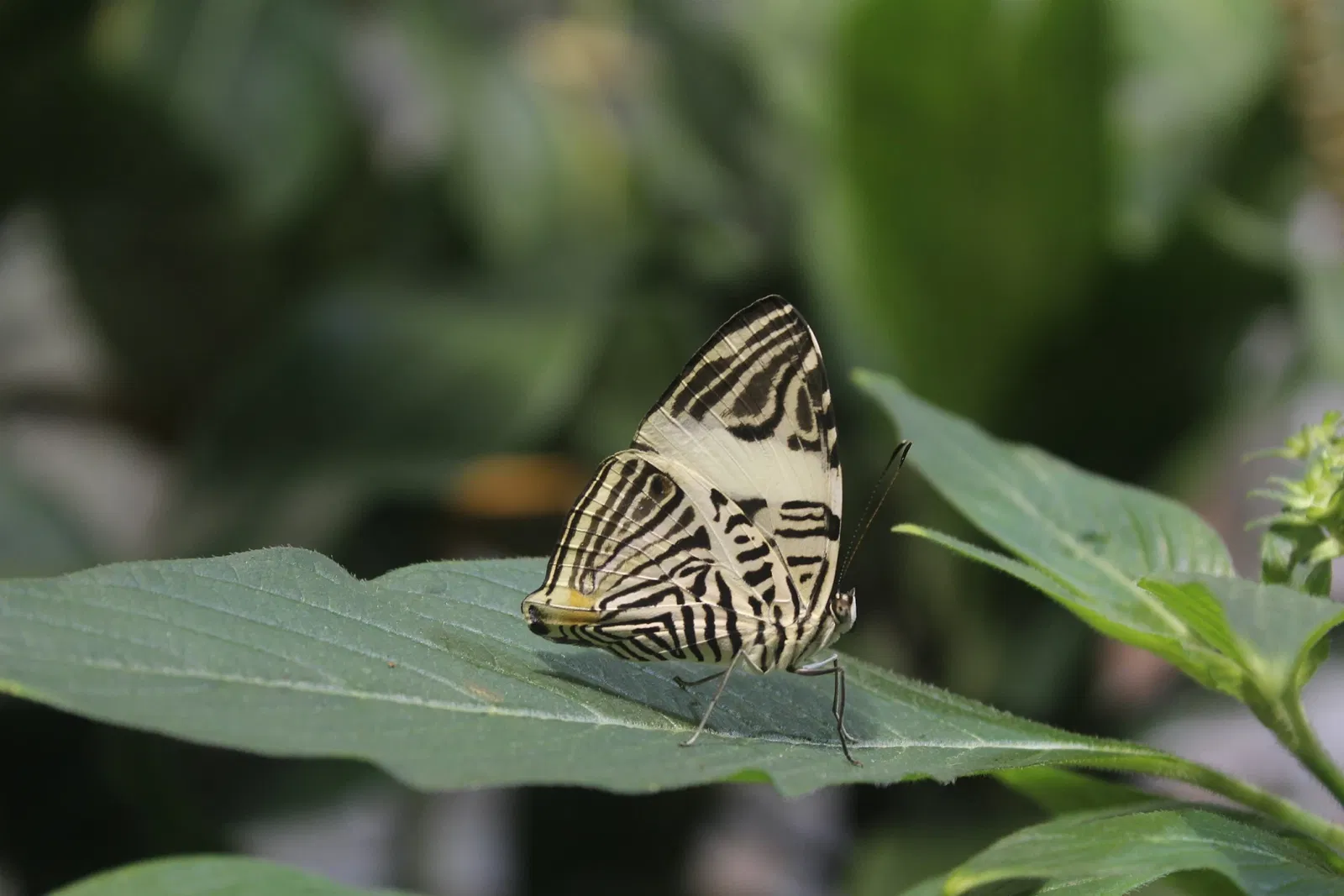 Academy of Natural Sciences