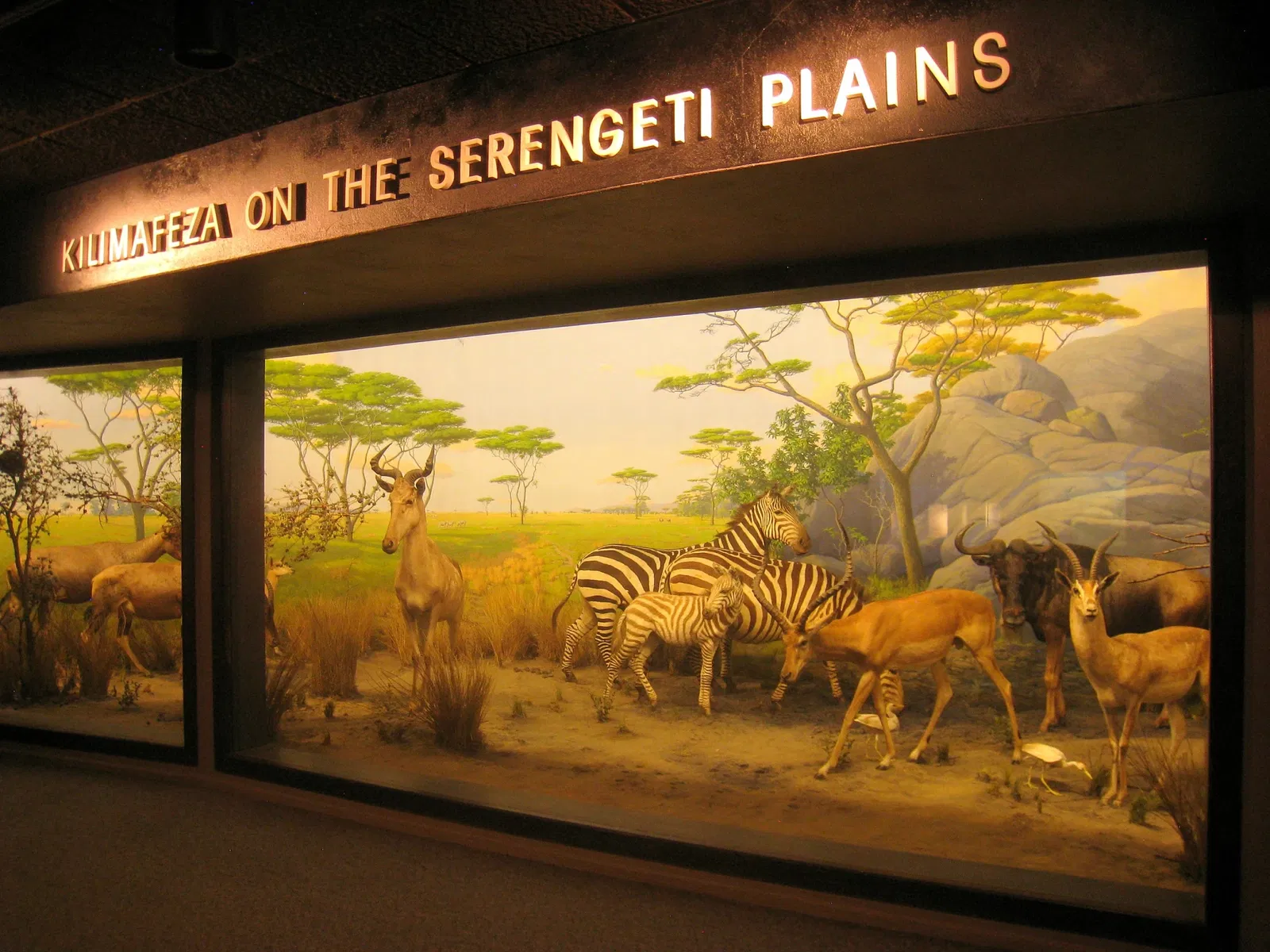 Academy of Natural Sciences of Drexel University