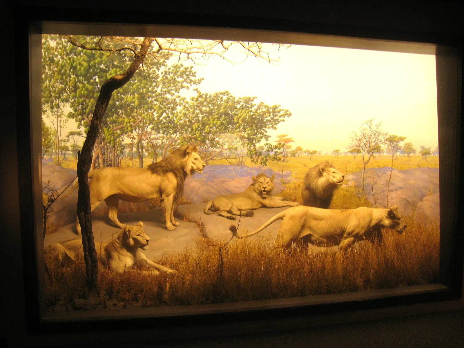 Academy of Natural Sciences