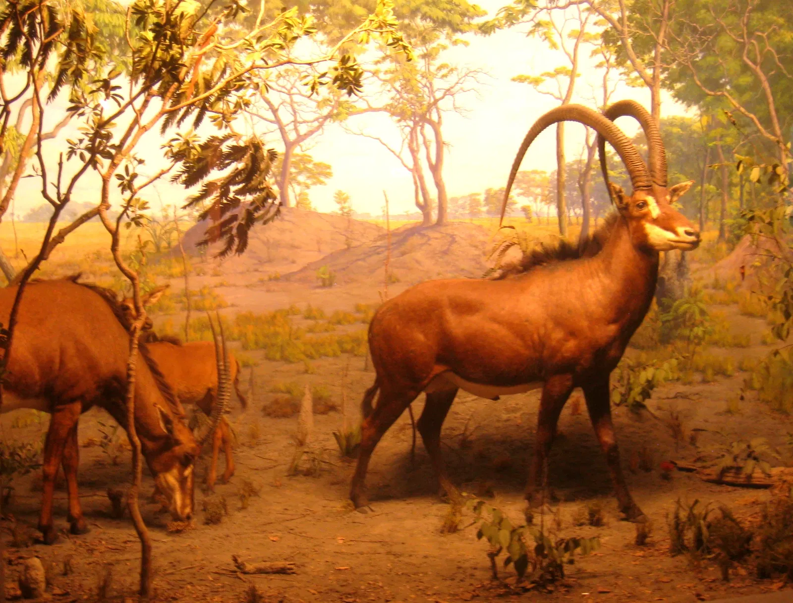 Academy of Natural Sciences of Drexel University