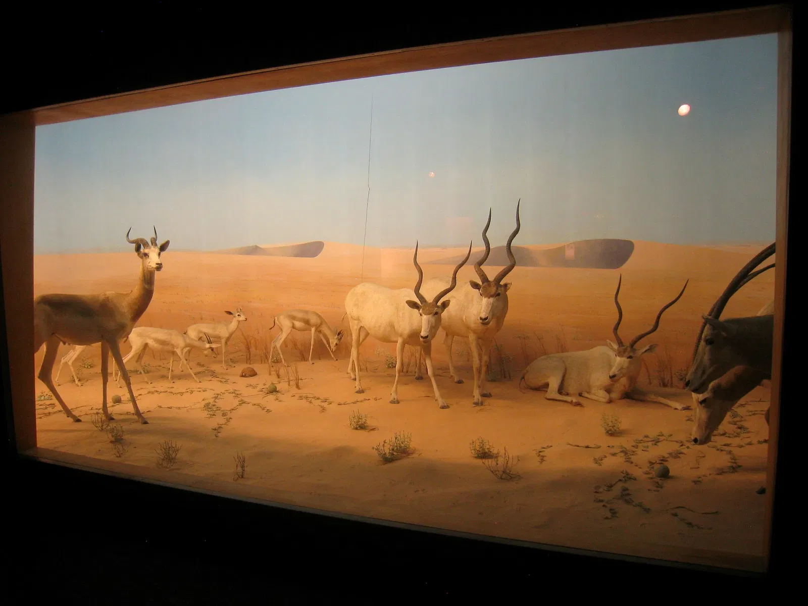 Academy of Natural Sciences of Drexel University