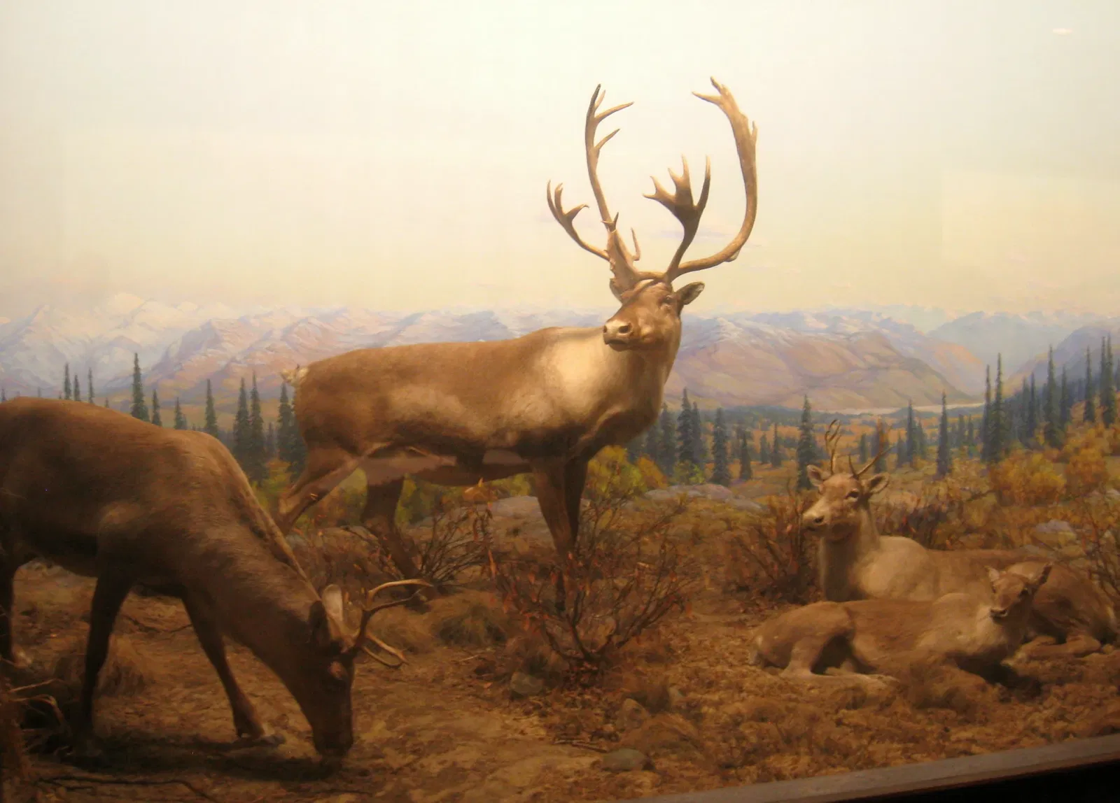 Academy of Natural Sciences of Drexel University