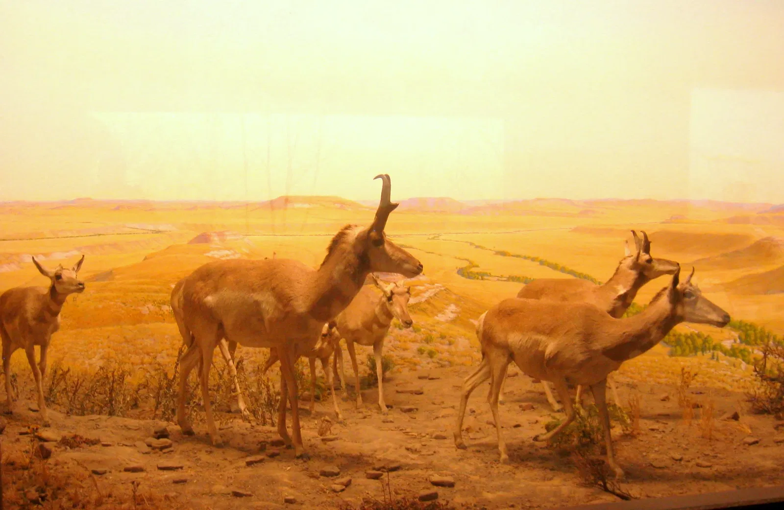 Academy of Natural Sciences