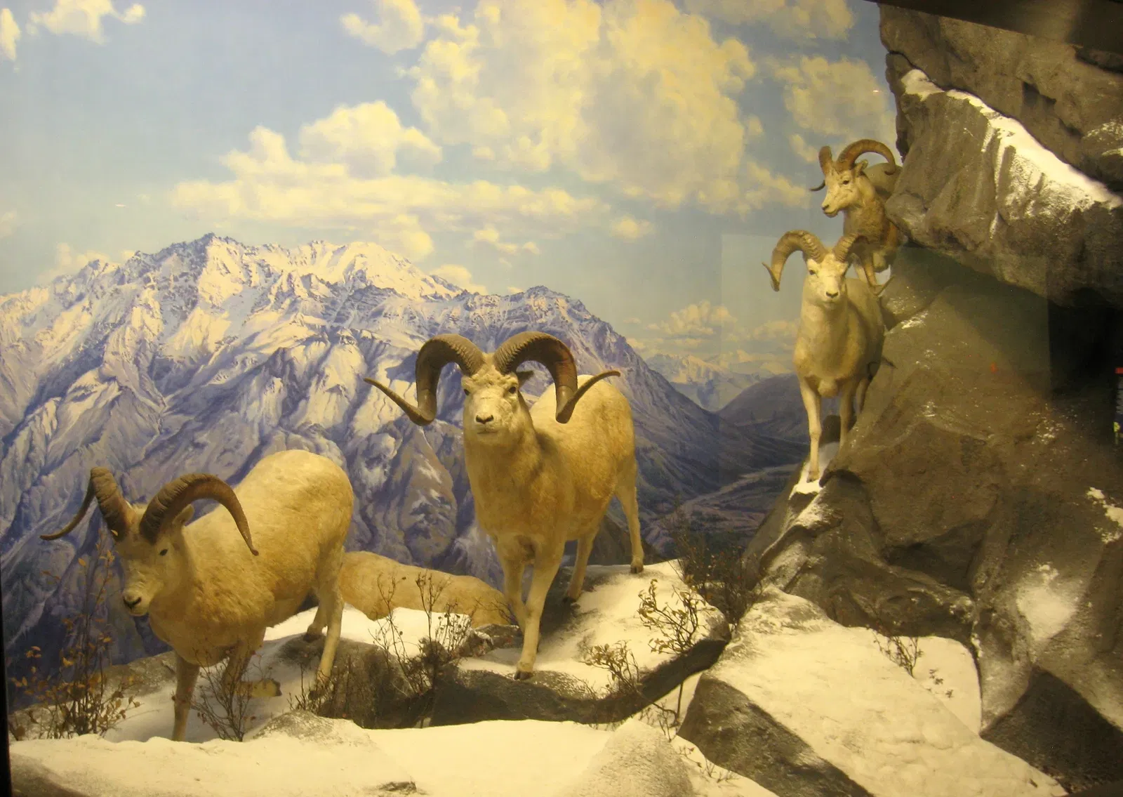 Academy of Natural Sciences of Drexel University