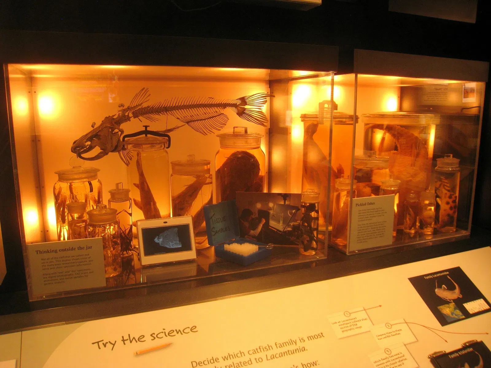 Academy of Natural Sciences of Drexel University