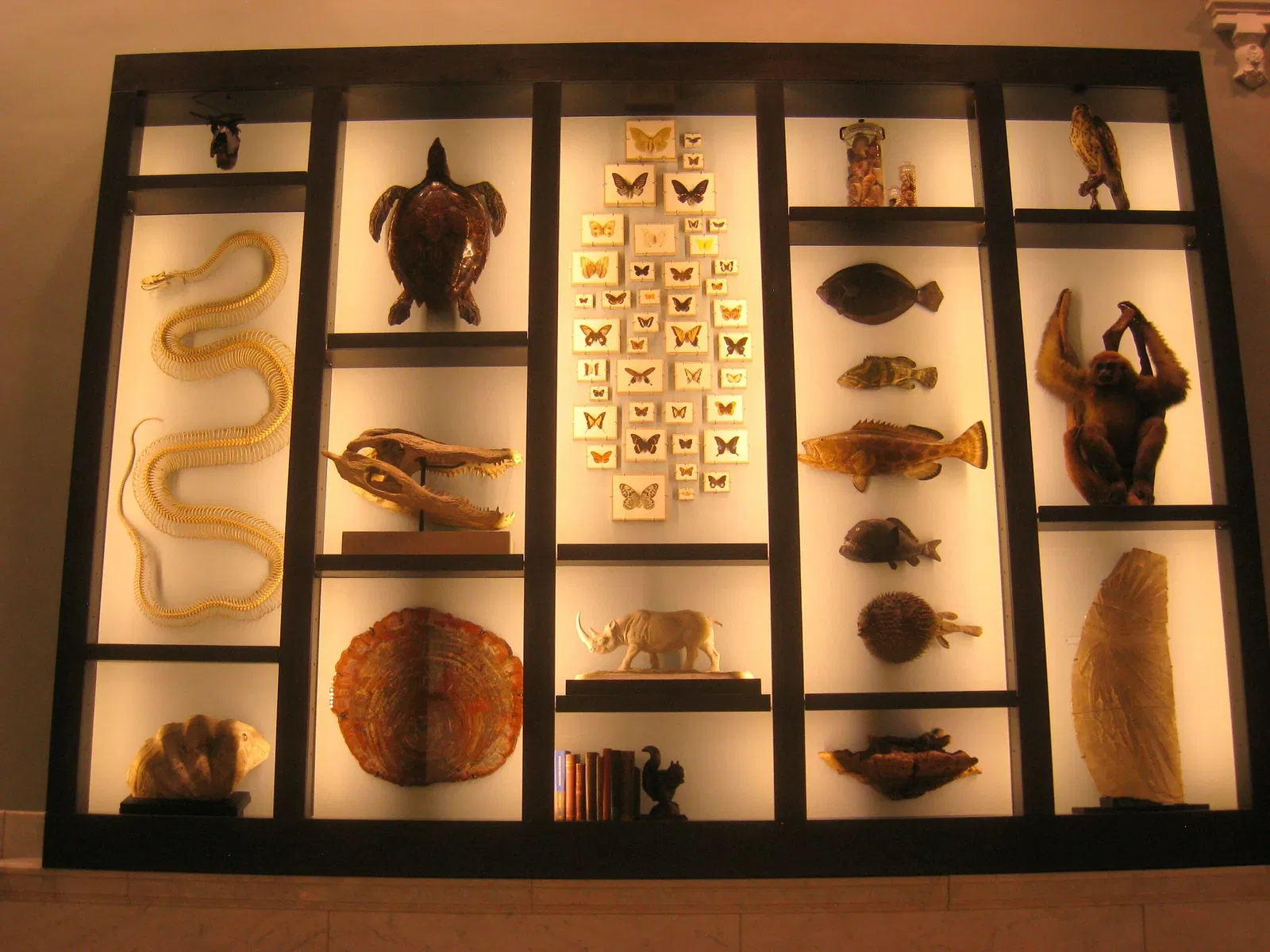 Academy of Natural Sciences of Drexel University