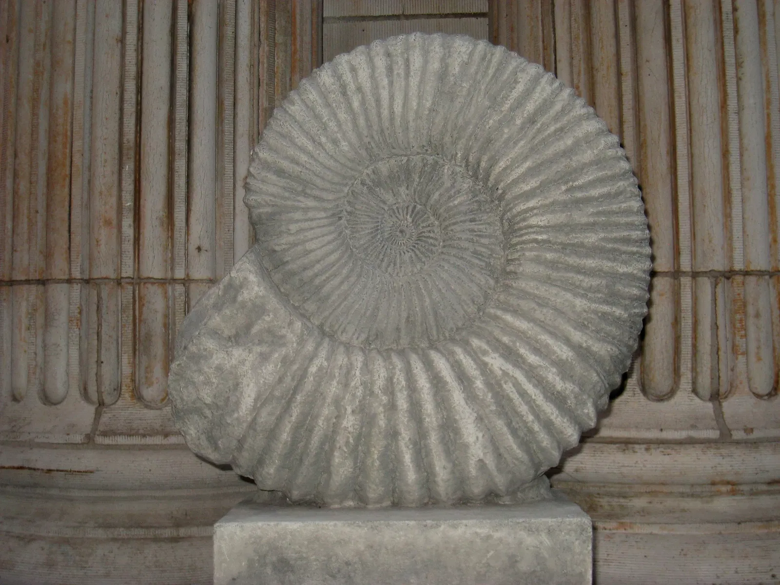 Academia de Ciencias Naturales de la Universidad Drexel