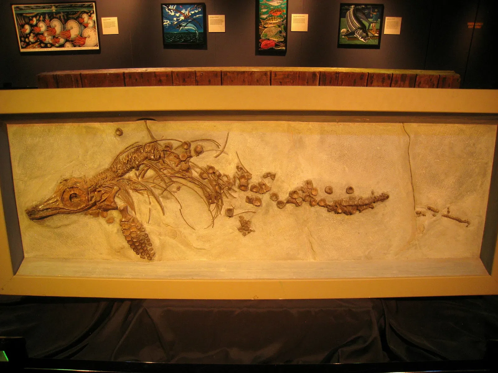 Academy of Natural Sciences of Drexel University