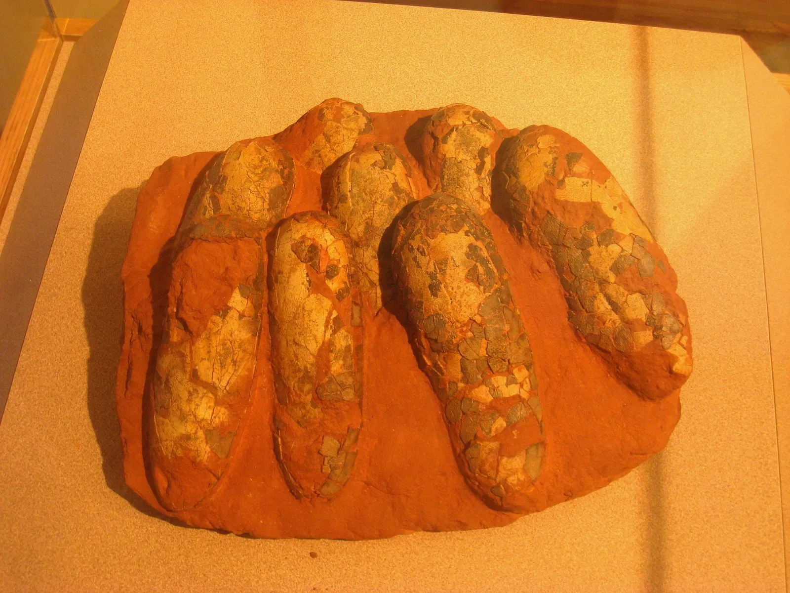 Academy of Natural Sciences