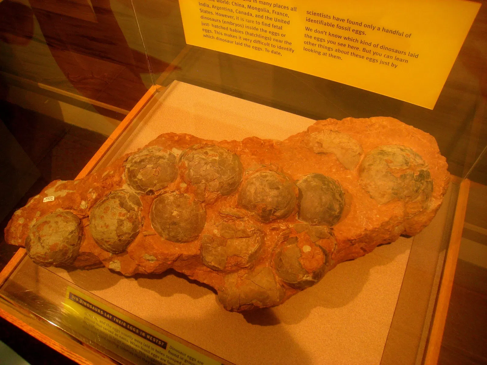 Academy of Natural Sciences