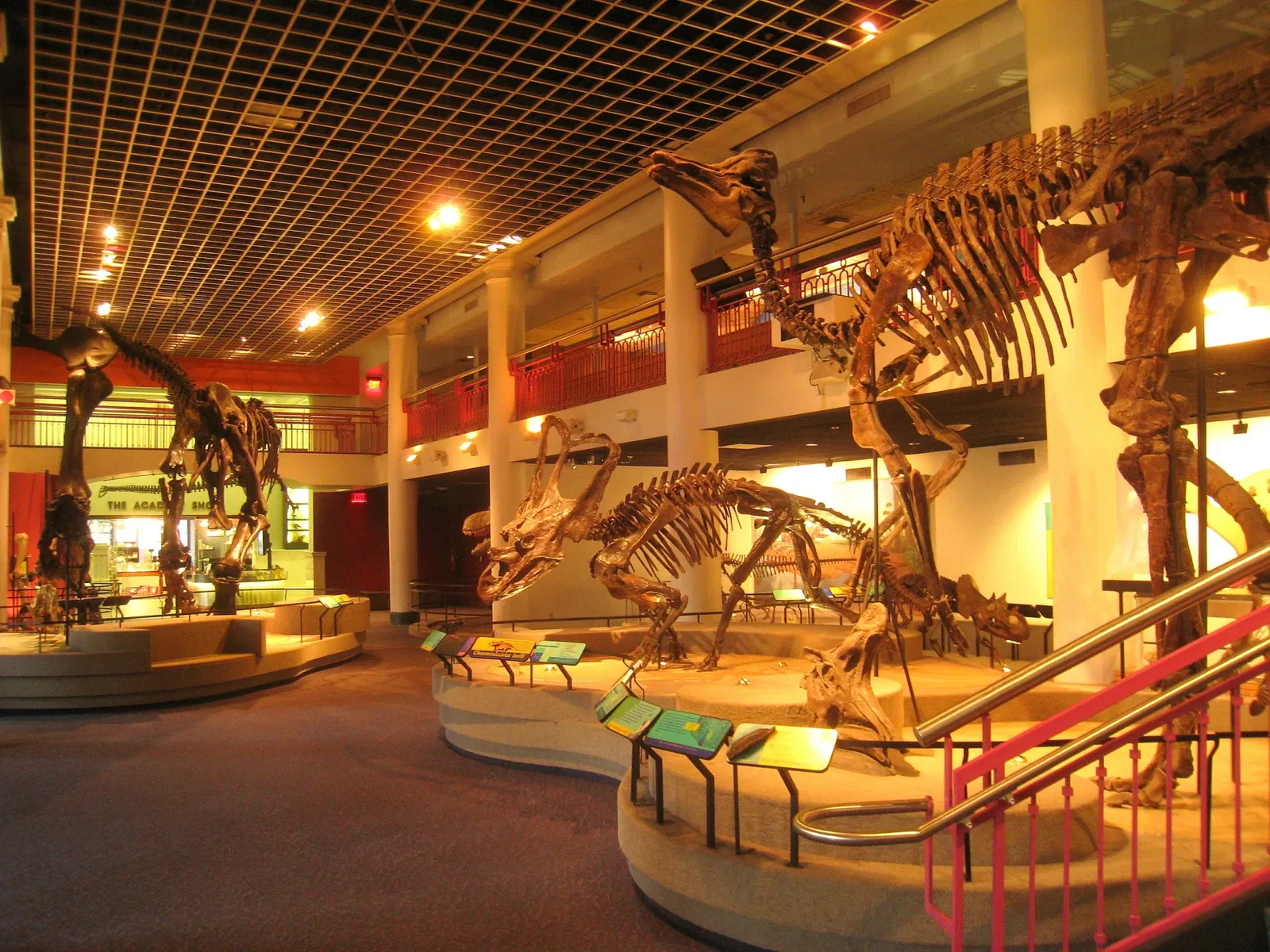 Academy of Natural Sciences of Drexel University