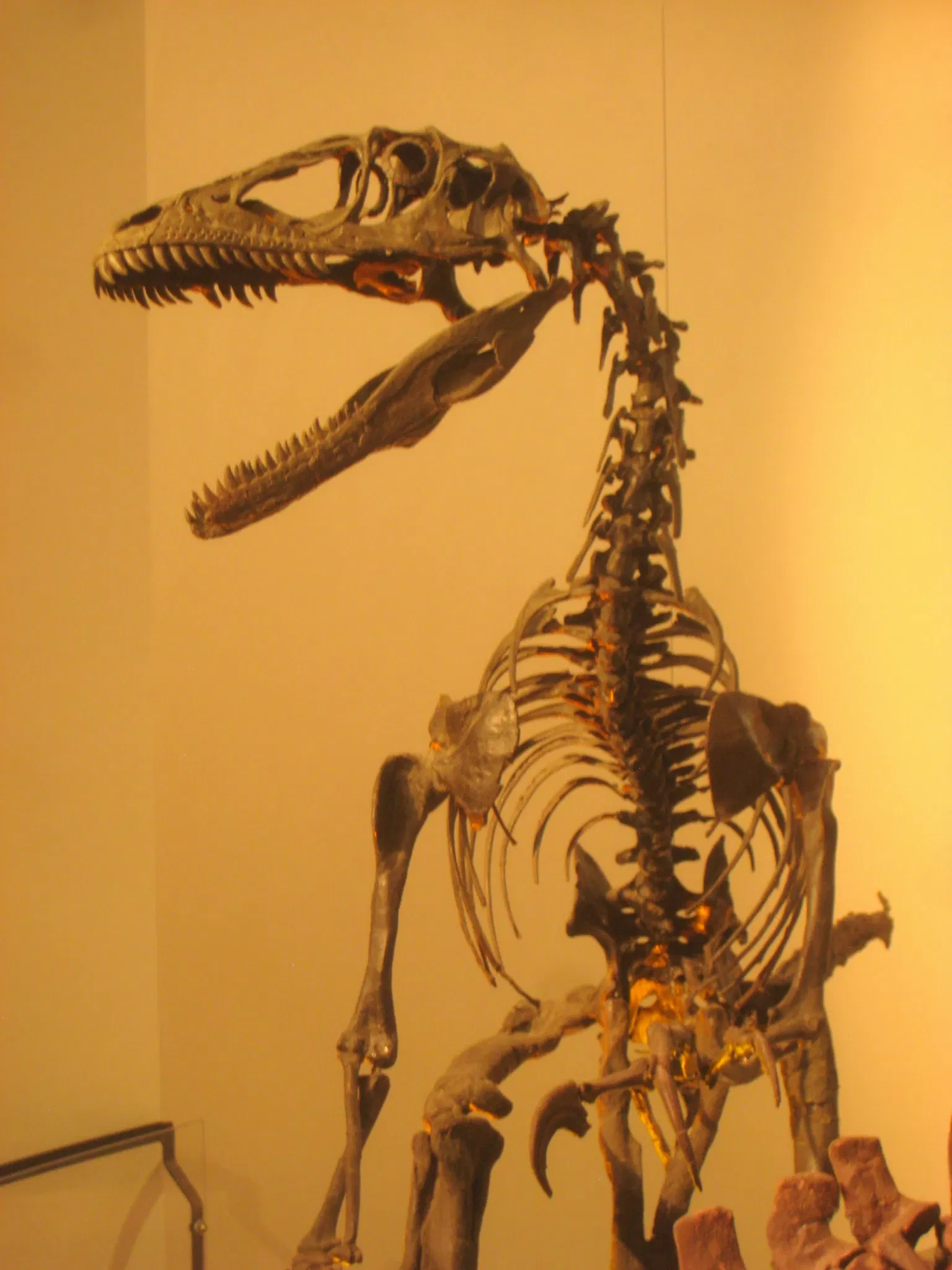 Academy of Natural Sciences of Drexel University