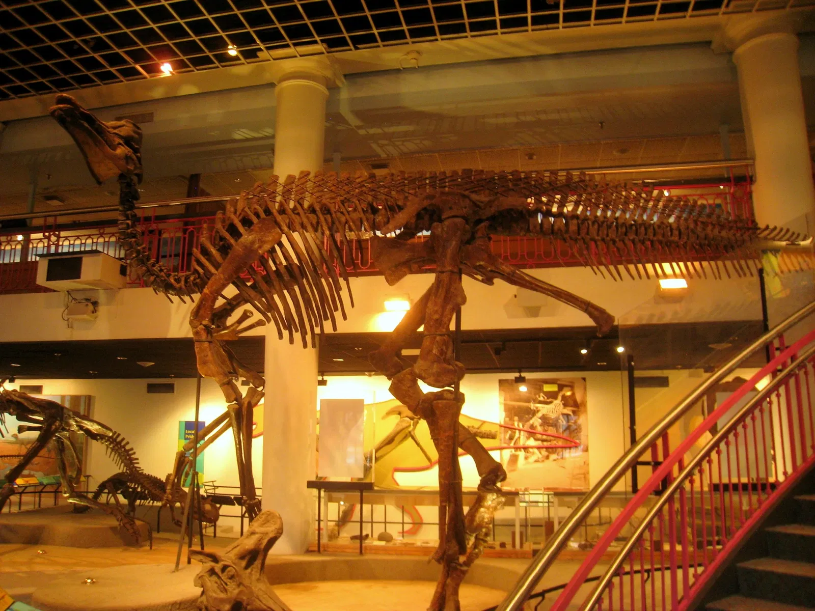 Academy of Natural Sciences