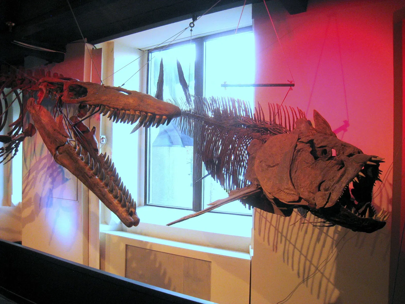 Academy of Natural Sciences